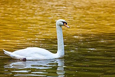 互动视觉小说《Afterlove EP》上线Steam 明年夏季发售